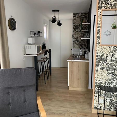 Studio Sable Sur Sarthe מראה חיצוני תמונה